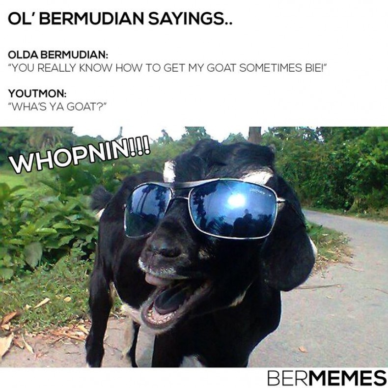 Get my Goat